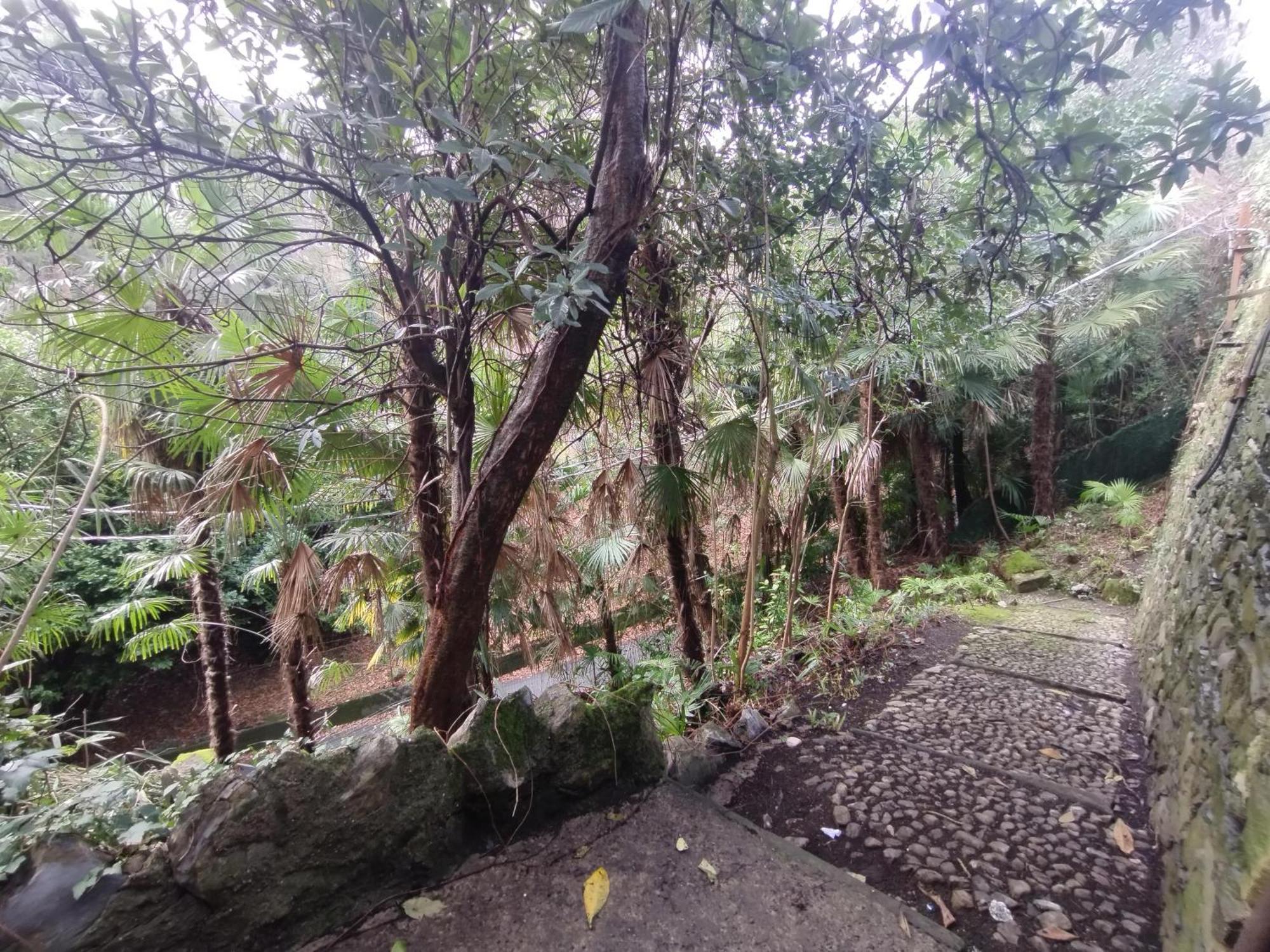 The Garden House Διαμέρισμα Όπως Εξωτερικό φωτογραφία